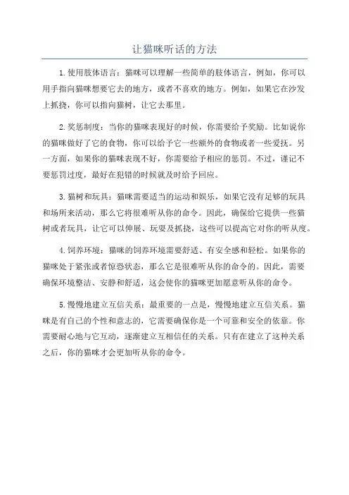 让猫咪听话的方法
