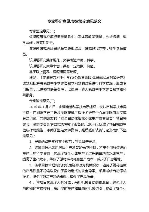 专家鉴定意见,专家鉴定意见范文