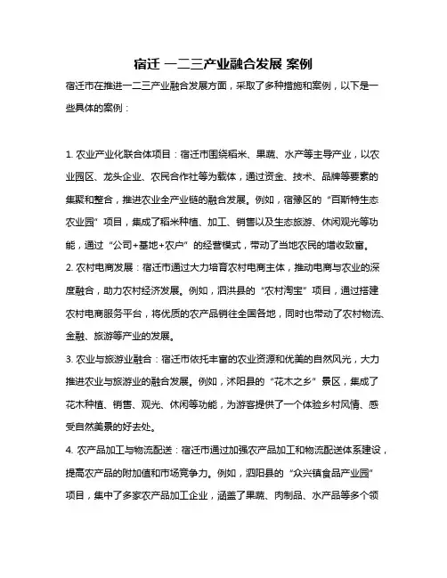 宿迁 一二三产业融合发展 案例