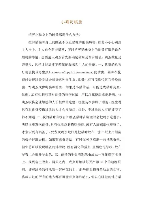 小猫防跳蚤