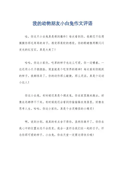 我的动物朋友小白兔作文评语