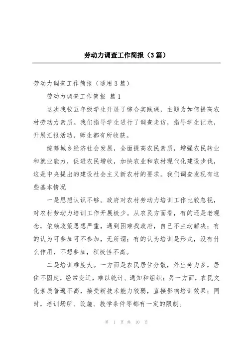 劳动力调查工作简报(3篇)
