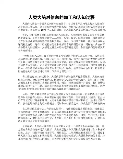 人类大脑对信息的加工和认知过程
