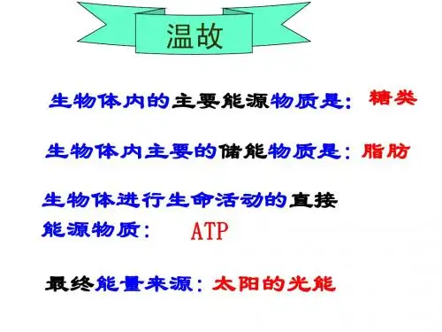 叶绿体中色素的提取和分离