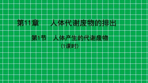 北师大版七年级生物下册《  第十一章 人体代谢废物的排出  第1节 人体产生的代谢废物》公开课课件_3
