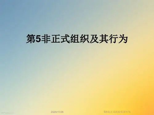 第5非正式组织及其行为