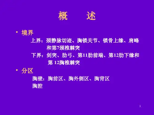 8局部解剖学课件胸部
