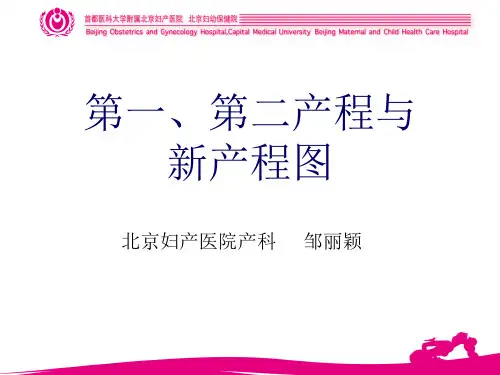 新产程(助产培训)  ppt课件