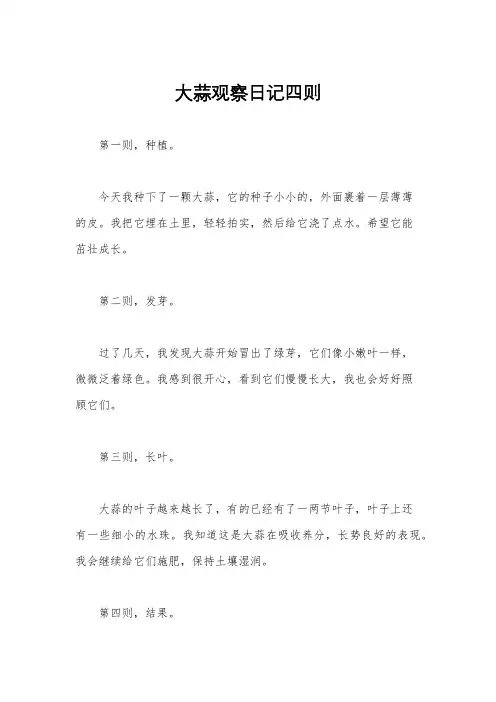 大蒜观察日记四则