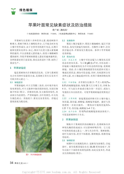 苹果叶面常见缺素症状及防治措施