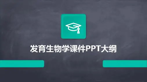 发育生物学课件PPT大纲