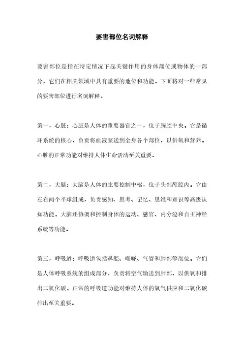 要害部位名词解释