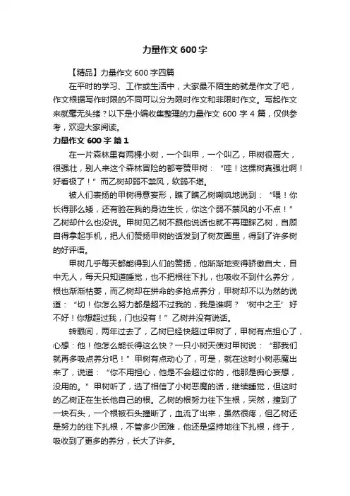 【精品】力量作文600字四篇