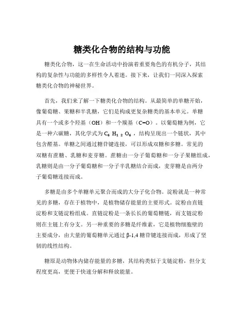 糖类化合物的结构与功能