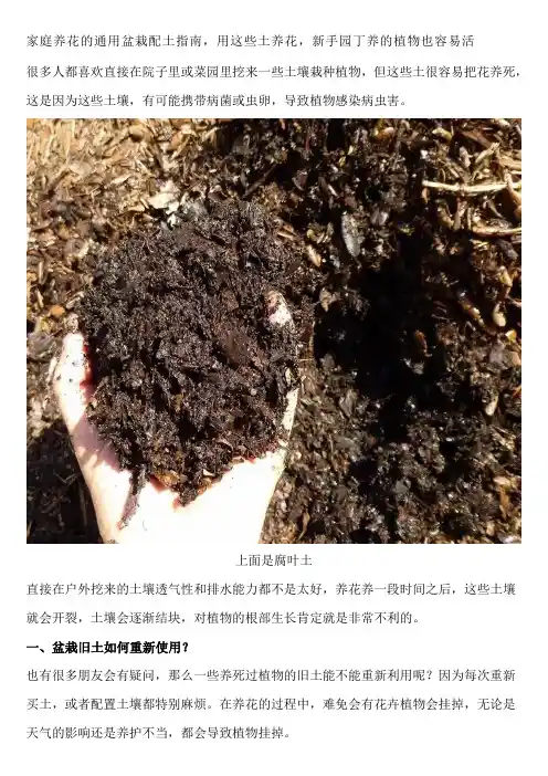 家庭养花的通用盆栽配土指南,用这些土养花,新手园丁养的植物也容易活