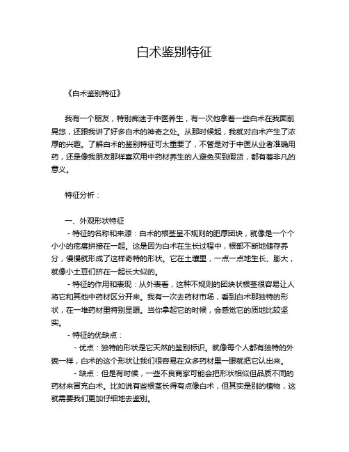 白术鉴别特征