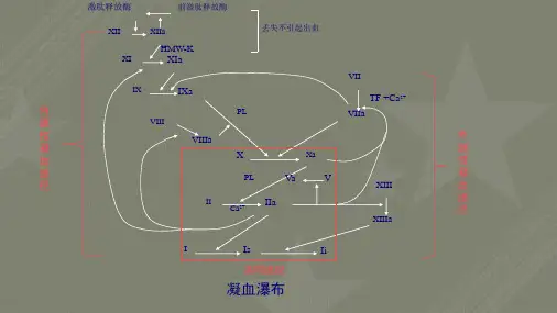 出凝血疾病检测