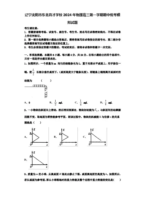 辽宁沈阳市东北育才学校2024年物理高三第一学期期中统考模拟试题含解析