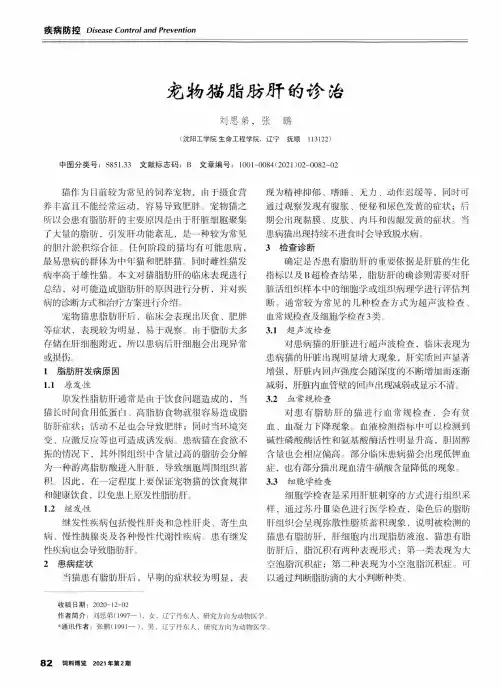 宠物猫脂肪肝的诊治