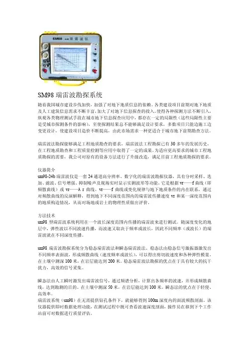 SM98瑞雷波勘探系统
