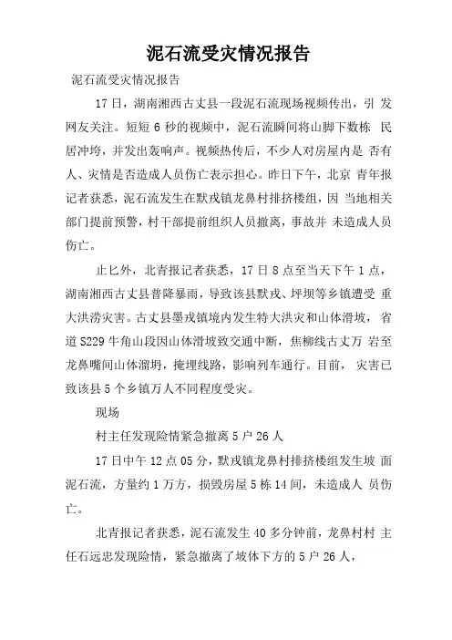 泥石流受灾情况报告