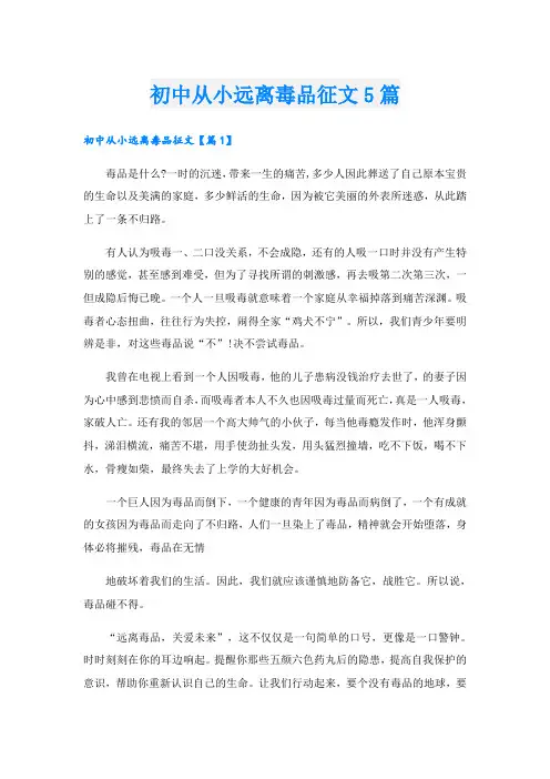 初中从小远离毒品征文5篇