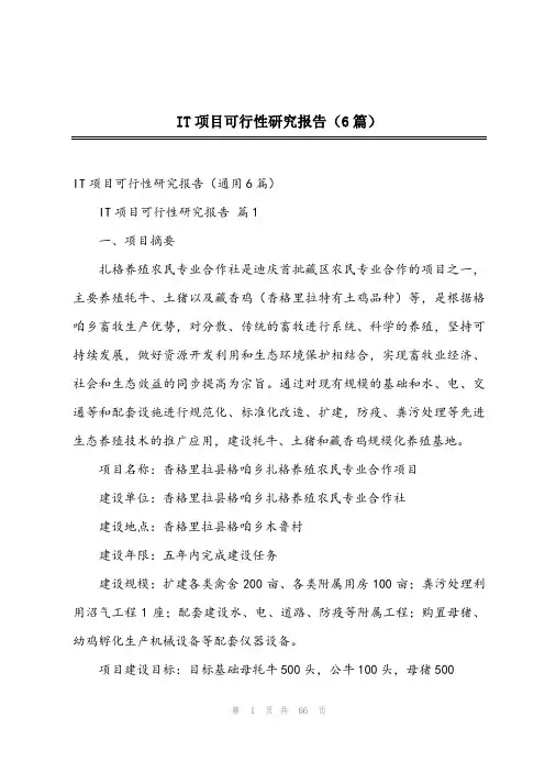 IT项目可行性研究报告(6篇)