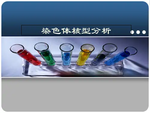 染色体核型分析