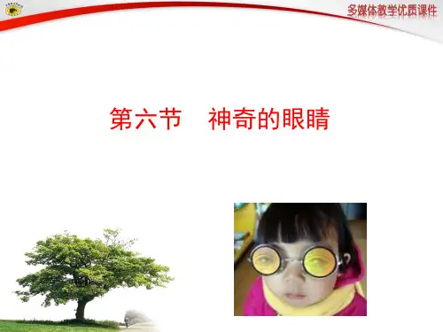 第六节神奇的眼睛介绍课件PPT