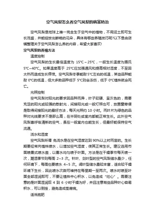 空气凤梨怎么养空气凤梨的病害防治