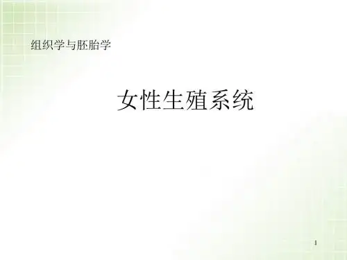 组织学与胚胎学之女性生殖系统PPT精选课件