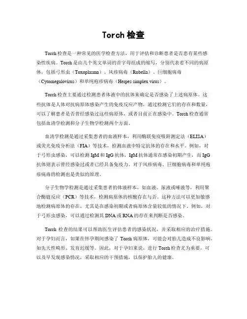 Torch检查