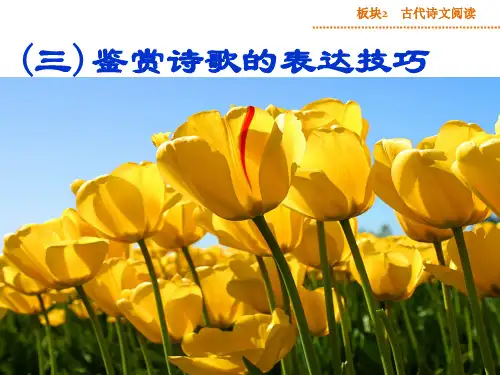 高考古代诗文阅读《鉴赏诗歌的表达技巧》ppt课件