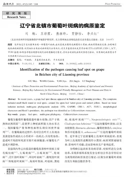 辽宁省北镇市葡萄叶斑病的病原鉴定