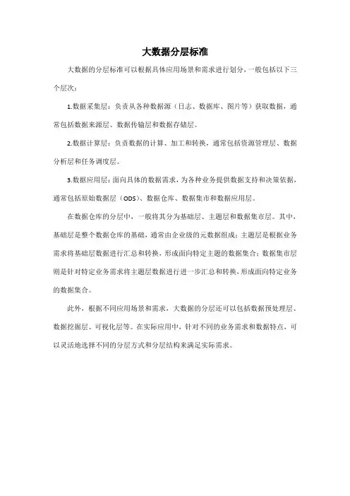 大数据分层标准