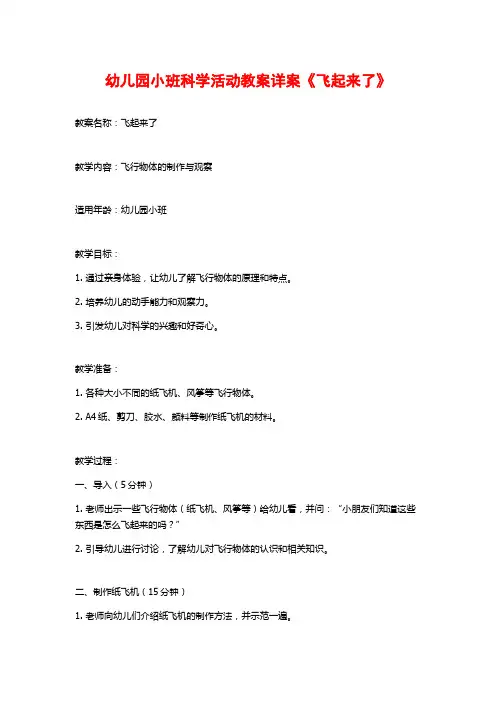 幼儿园小班科学活动教案详案《飞起来了》