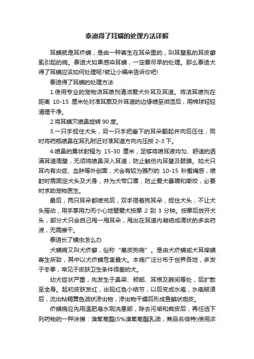 泰迪得了耳螨的处理方法详解