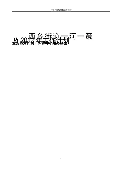 一河一策方案(水环境整治方案)