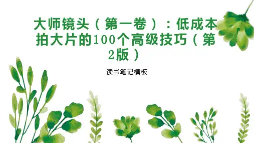 大师镜头(第一卷)：低成本拍大片的100个高级技巧(第2版)
