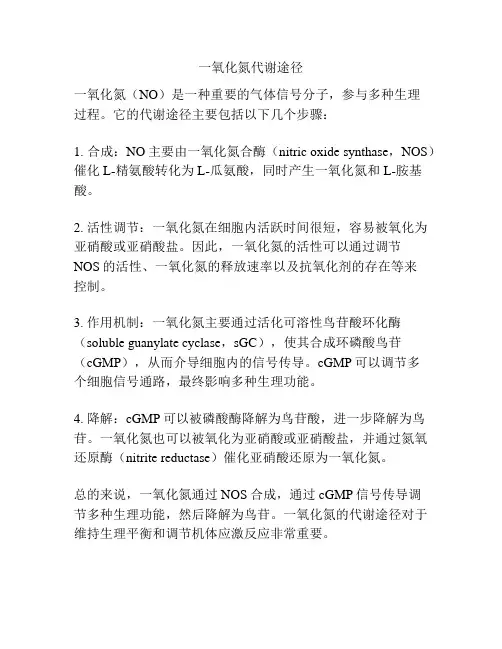 一氧化氮代谢途径