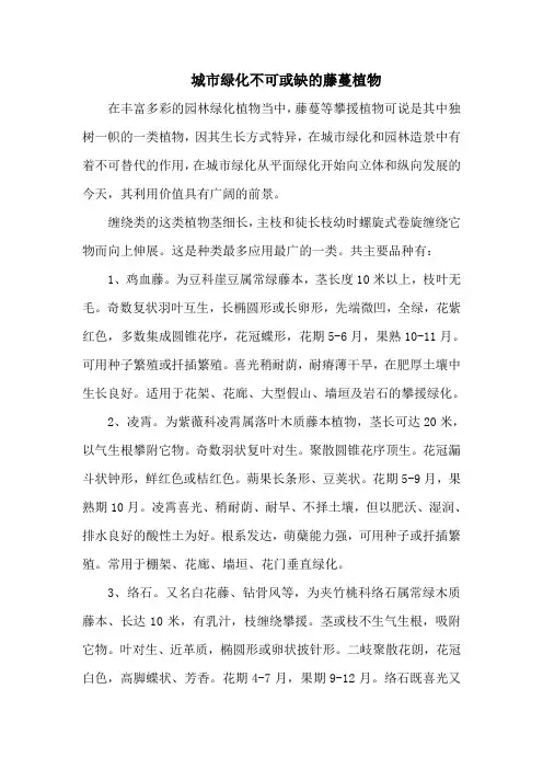 城市绿化不可或缺的藤蔓植物