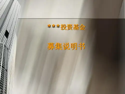 投资基金募集说明书(PPT41页)
