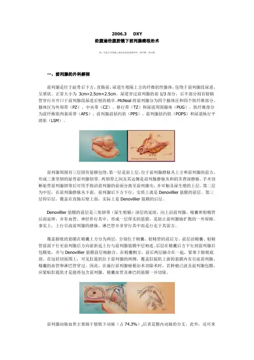 腹腔镜下前列腺癌根治术