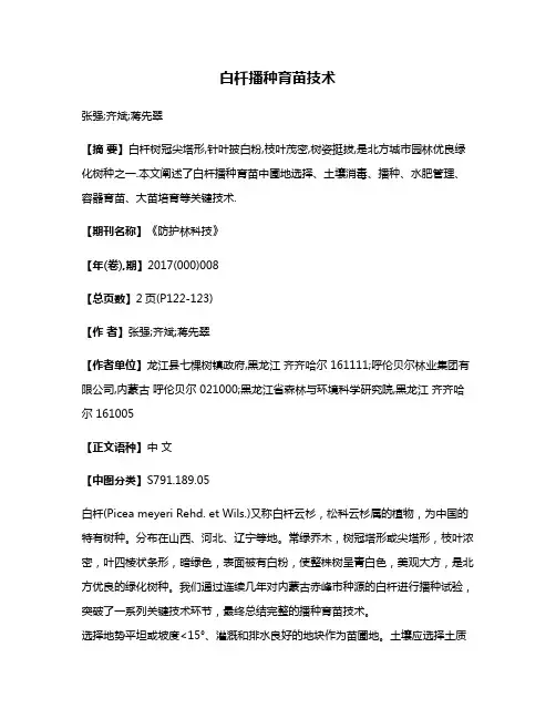 白杄播种育苗技术