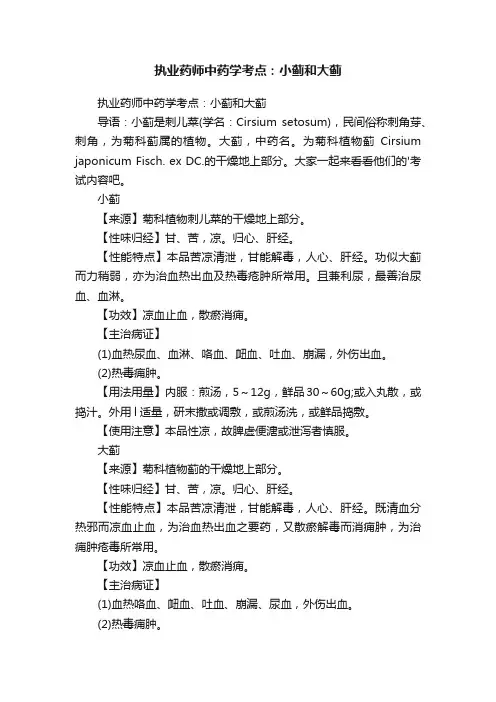 执业药师中药学考点：小蓟和大蓟