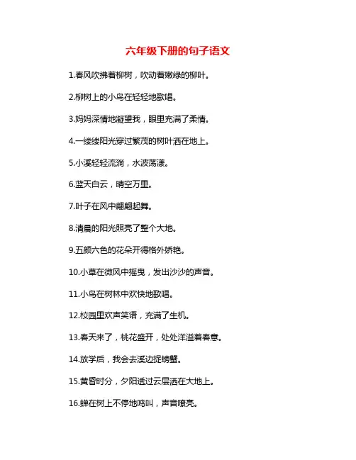 六年级下册的句子语文