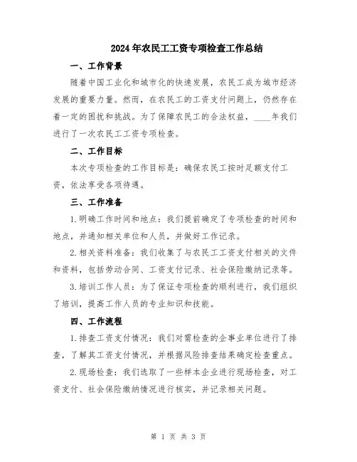 2024年农民工工资专项检查工作总结