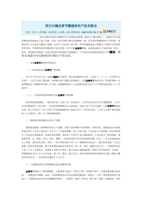 四川白鹅反季节繁殖和生产技术要点