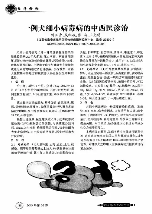 一例犬细小病毒病的中西医诊治