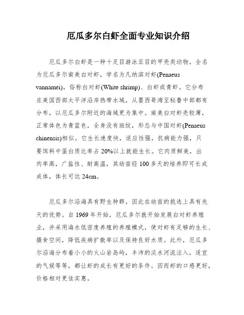 厄瓜多尔白虾全面专业知识介绍
